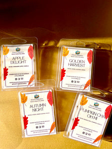Autumn Night Wax Melt