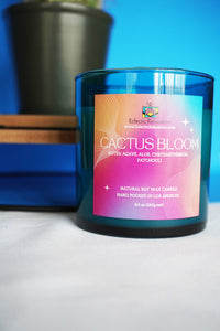 Cactus Blossom